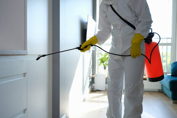 Mold Odor Removal Services in Patterson Tract, CA